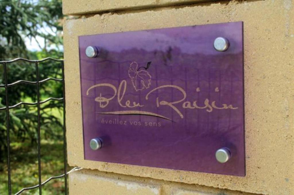 Bleu Raisin Bed and Breakfast Les Salles-de-Castillon Exteriör bild